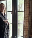 diannaagron_tumbledown_285.jpg