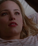 diannaagronorg_glees3_203.jpg